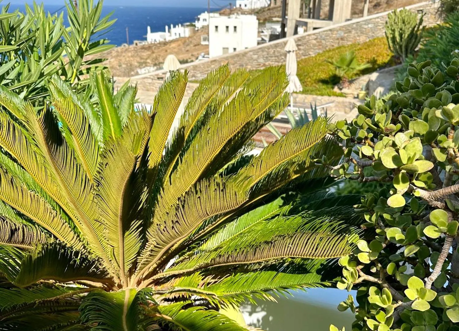 Helios Max Villa Mykonos Town 0*,